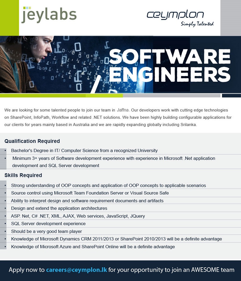 Software Engineers